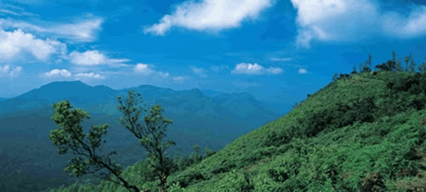 Coorg
